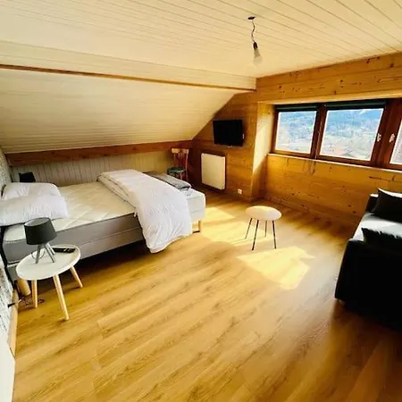 Appartement La Galerie De Meme Gérardmer Esterno foto